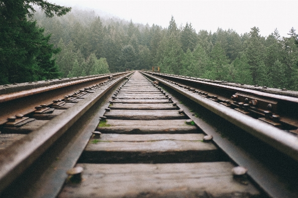 Landscape nature track railroad Photo