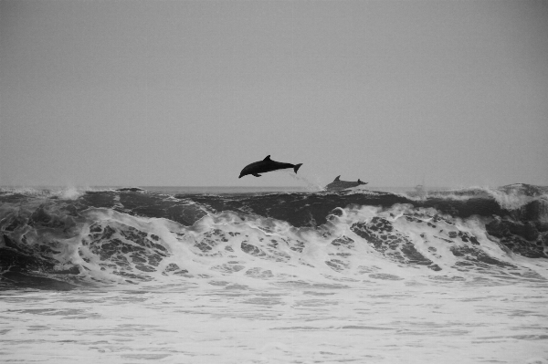 海 海岸 水 海洋 写真