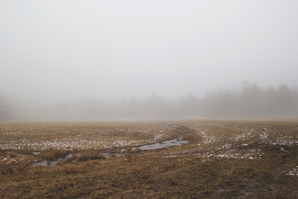 Paesaggio orizzonte nevicare nebbia