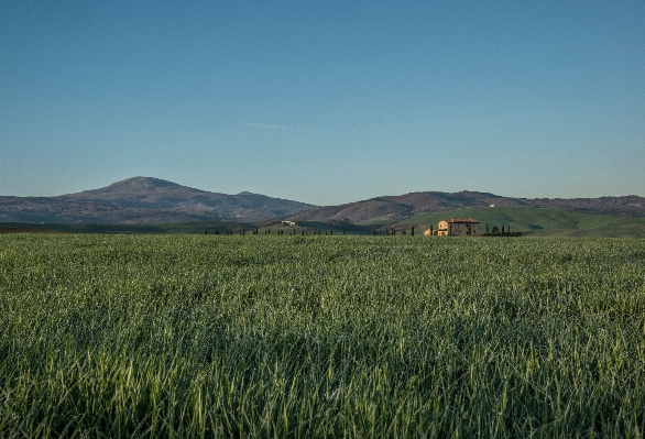 Landscape nature grass horizon Photo