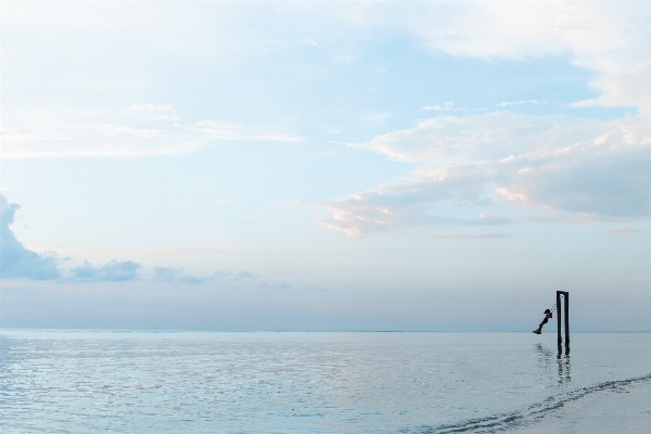 ビーチ 海 海岸 水 写真