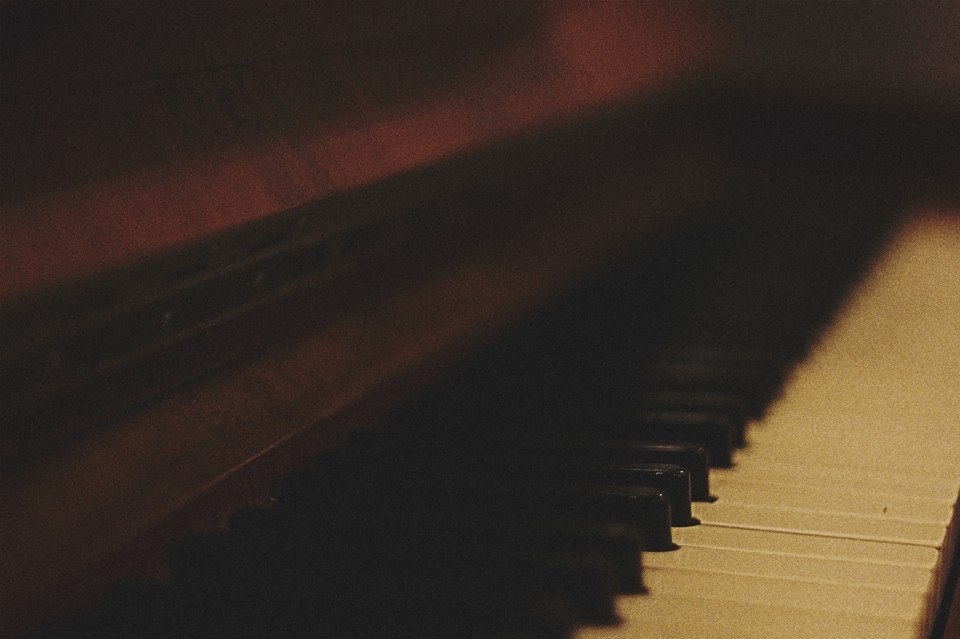 Music light wood keyboard