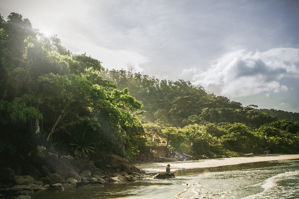 Beach landscape sea coast