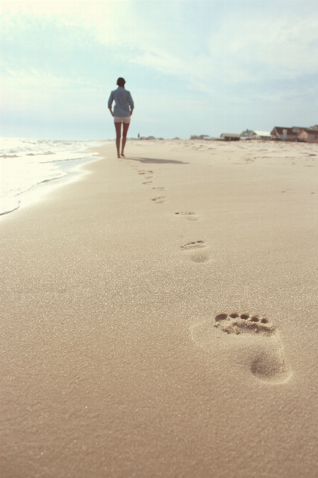 Beach sea coast sand