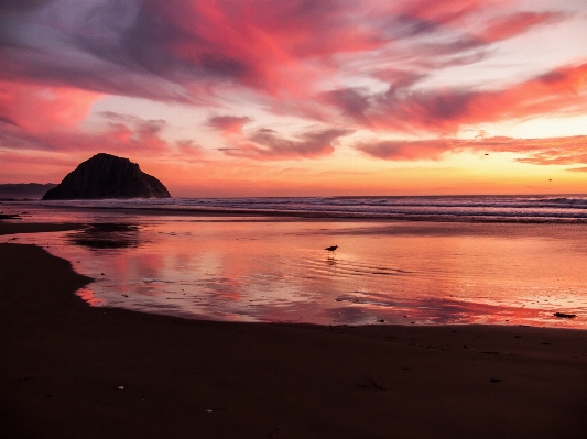 Beach landscape sea coast Photo