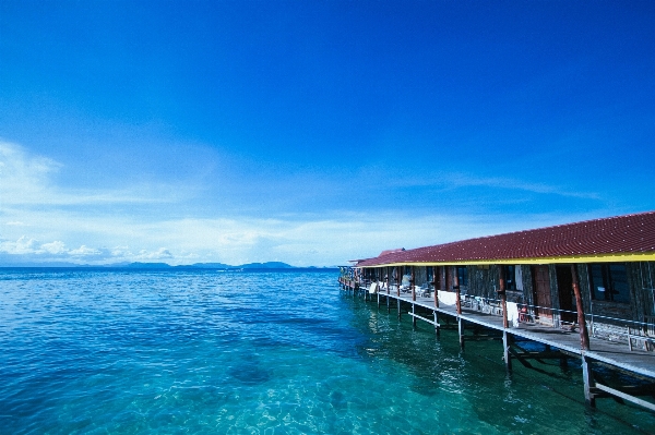 海 海岸 水 海洋 照片