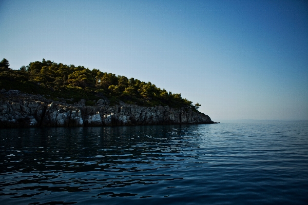 Meer küste baum wasser Foto