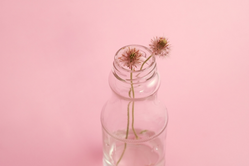 Hand water flower petal