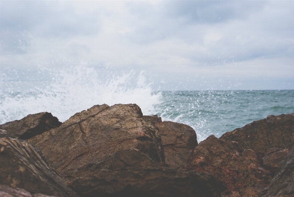 景观 海 海岸 rock 照片