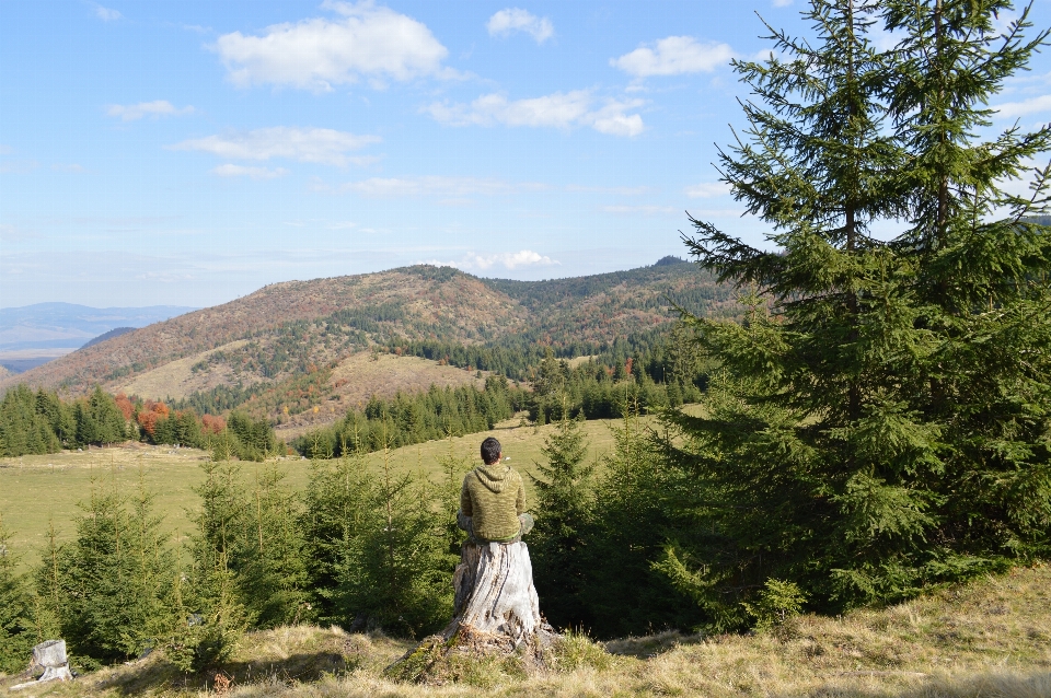 男人 树 森林 荒野