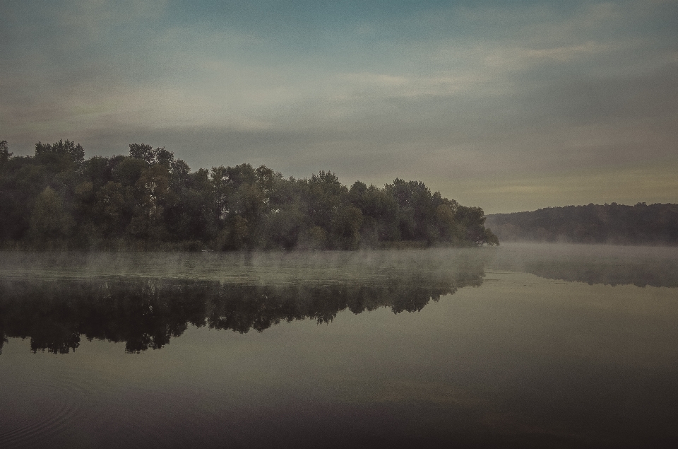 Landschaft baum wasser natur