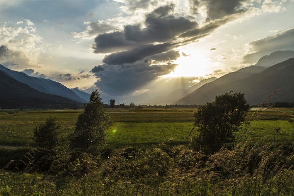 Foto Paisagem natureza grama horizonte