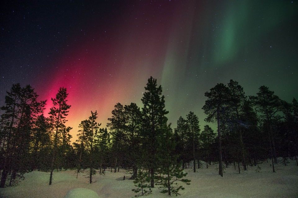 Silhouette sky atmosphere northern light