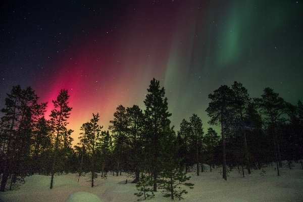 Silhouette sky atmosphere northern light Photo