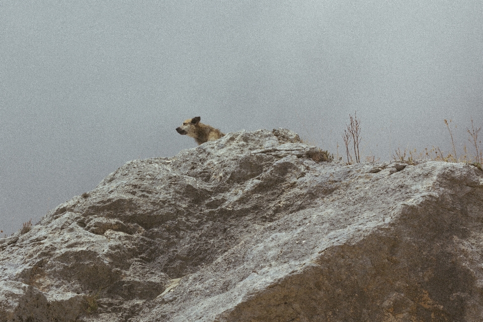 Natureza rock montanha neve