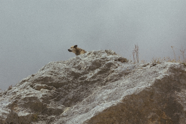 Nature rock mountain snow Photo