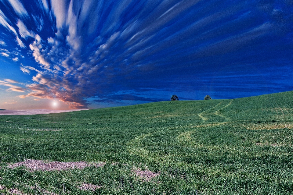 Landscape nature grass horizon