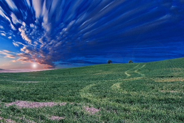 Landscape nature grass horizon Photo