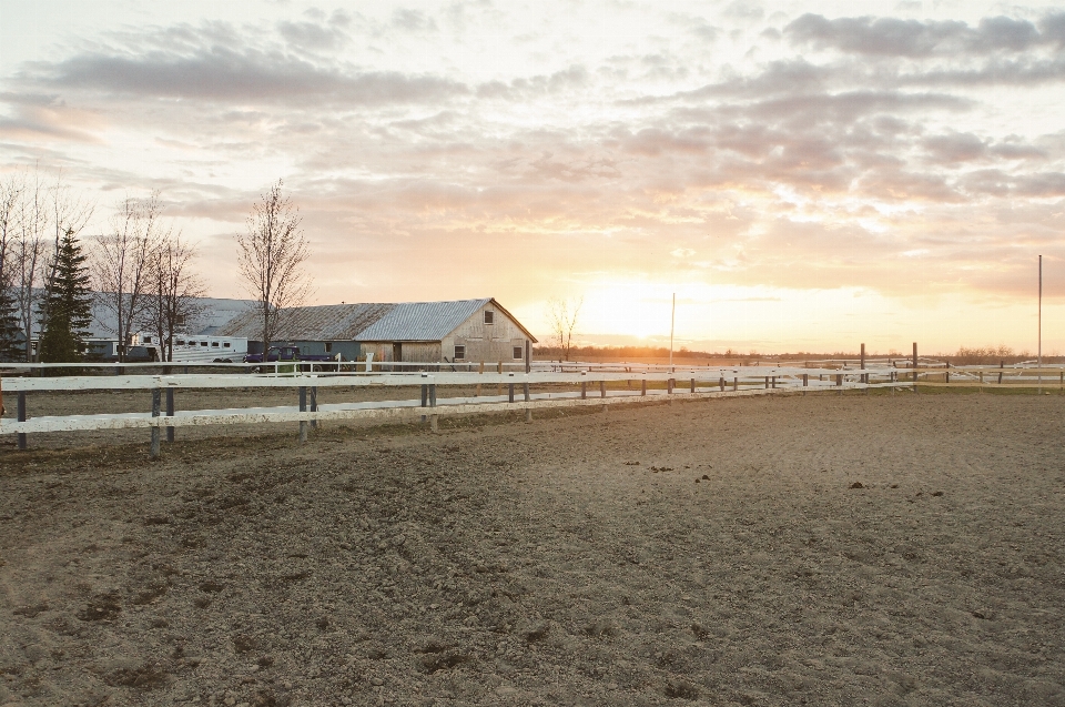 Strand sand horizont zaun