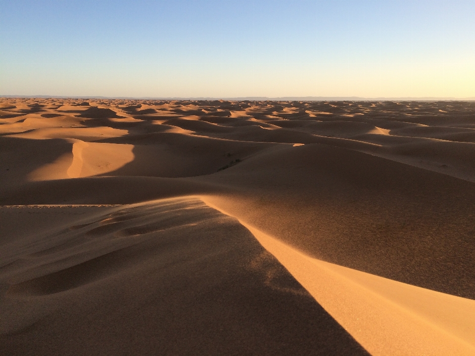 Landscape sand horizon desert