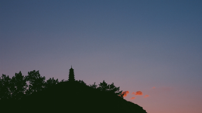 Tree horizon silhouette mountain Photo