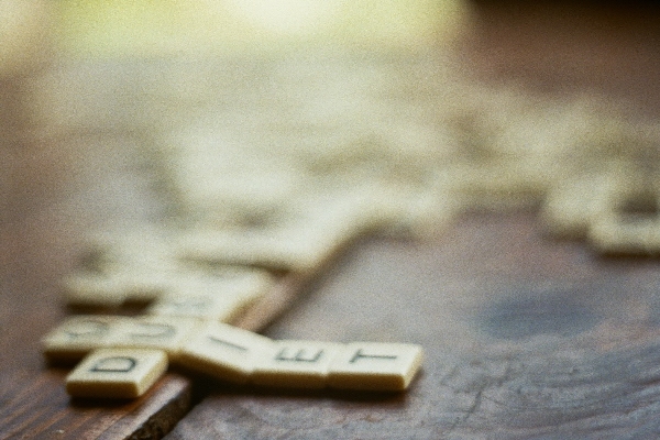 手 言葉 木 番号 写真