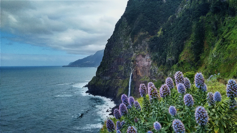 пейзаж море побережье природа