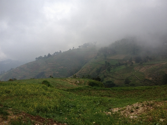 Landscape nature forest mountain Photo