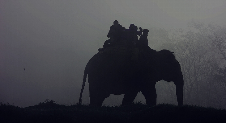 Foto Bayangan hitam orang gunung dan putih
