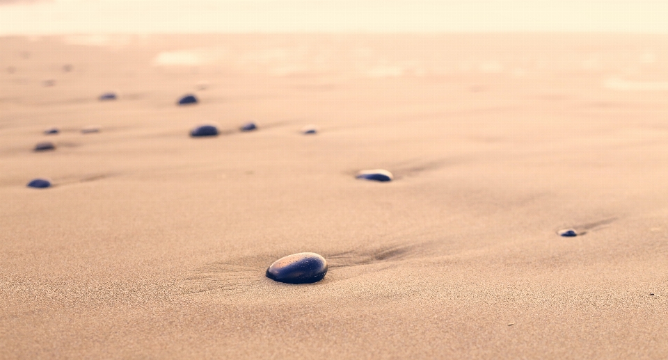 Beach sea sand rock