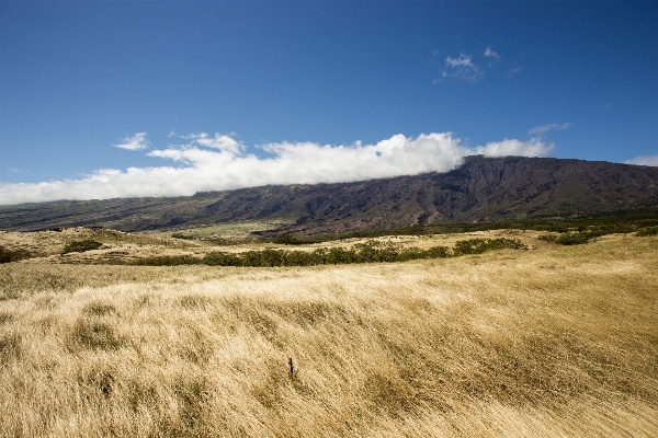 Landscape nature grass horizon Photo