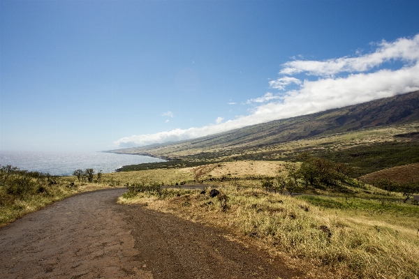 Landscape sea coast pathway Photo