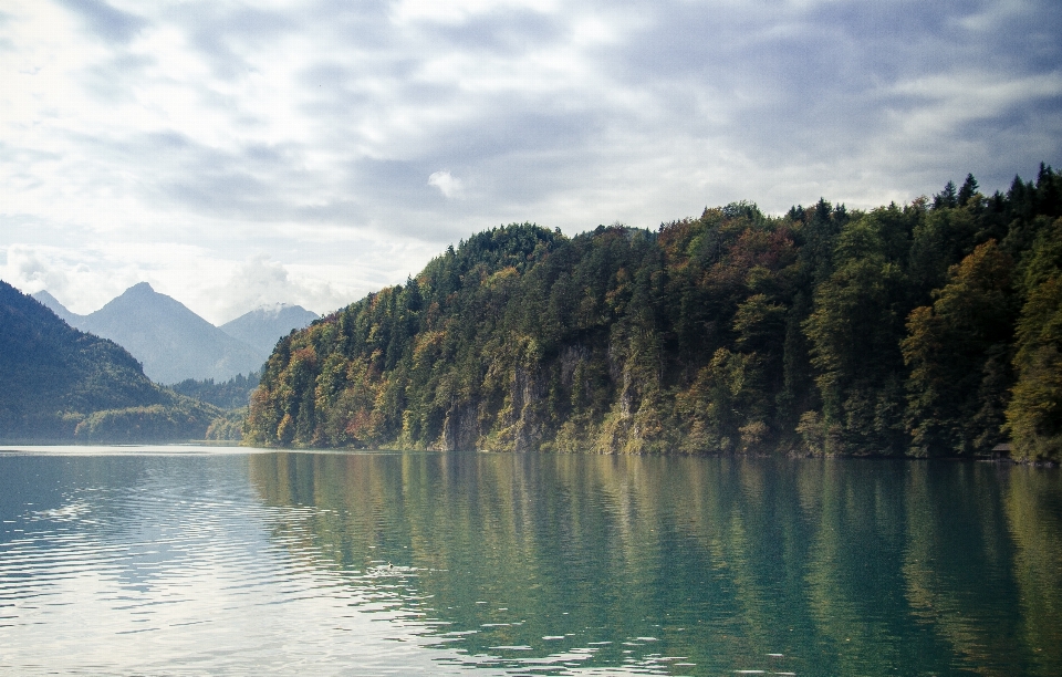 Landschaft meer baum wasser