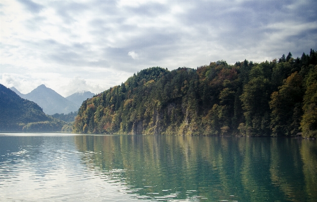 風景 海 木 水 写真