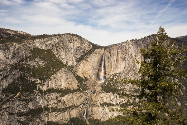 Landscape tree rock waterfall Photo