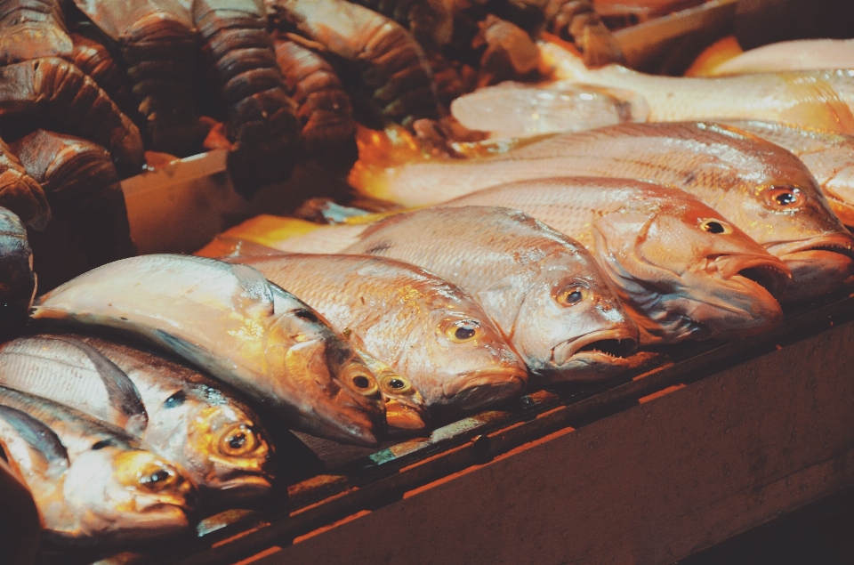 Poisson nourriture grillage fruit de mer