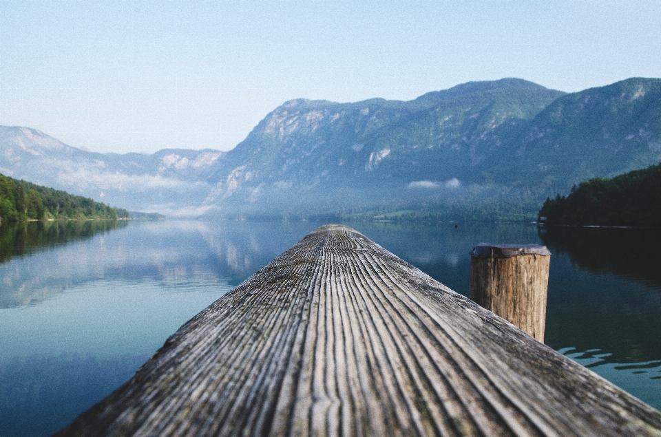 Sea water mountain wood