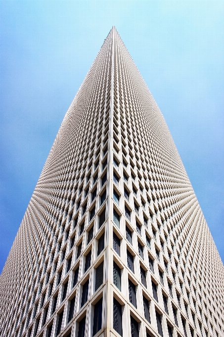 Die architektur gebäude wolkenkratzer linie