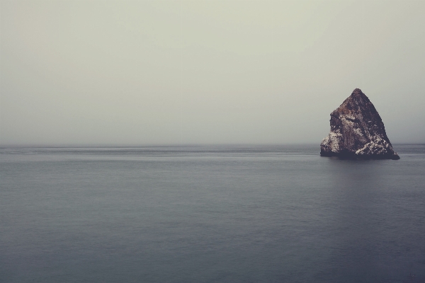 Beach sea coast water Photo