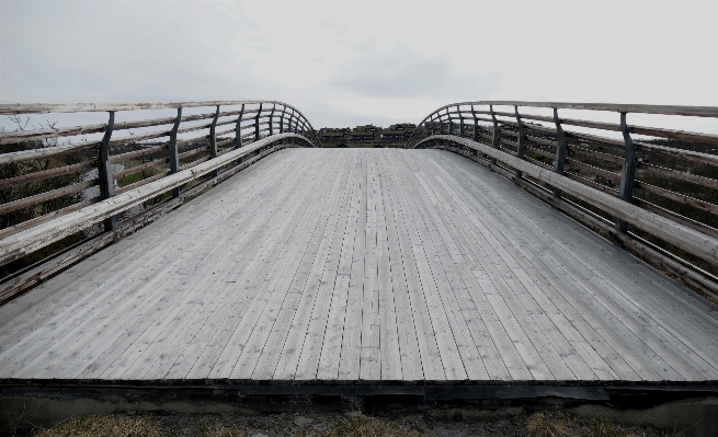 構造 木 追跡 橋 写真