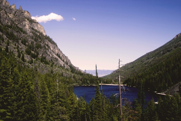 Tree water rock mountain Photo