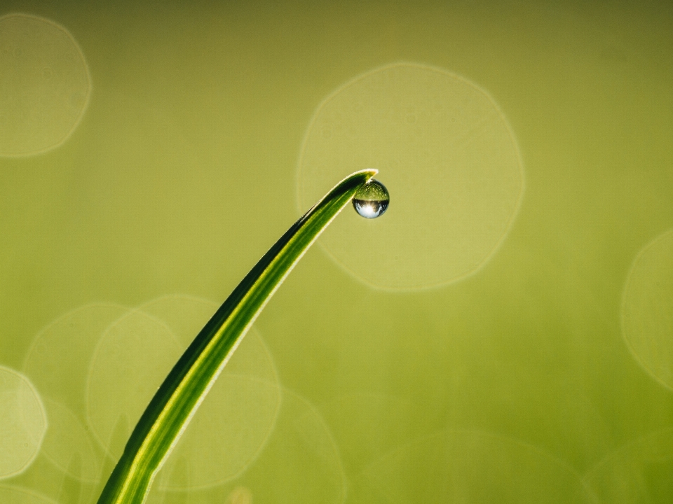 Agua gota rocío luz