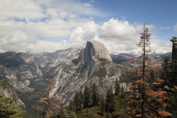 Landscape tree wilderness mountain Photo