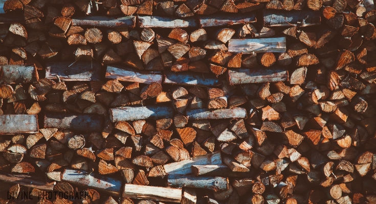 Wood chopped log scrap Photo