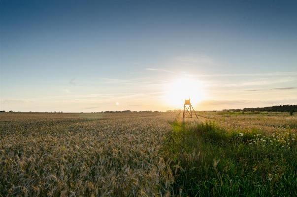 Landscape nature grass horizon Photo