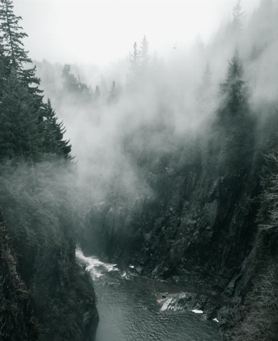 Landschaft natur wald berg