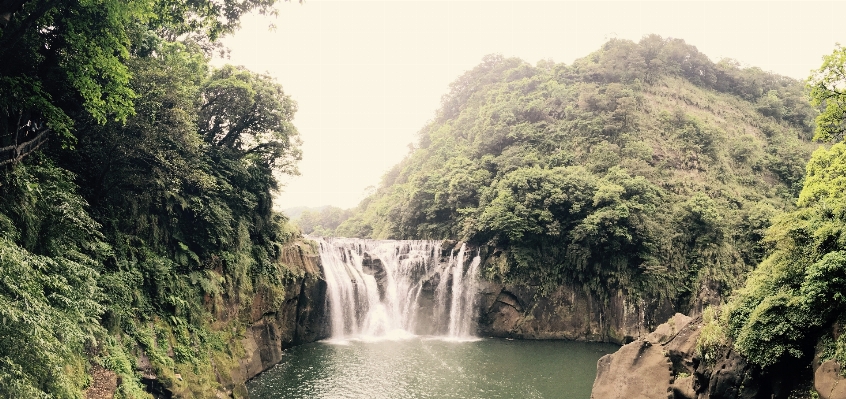 木 水 森 滝 写真