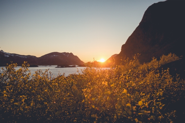 Landscape sea coast nature Photo