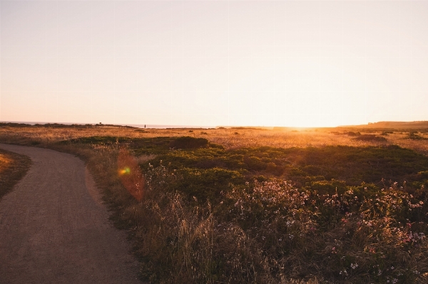 Landscape sea coast nature Photo