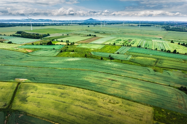 Landscape grass marsh structure Photo